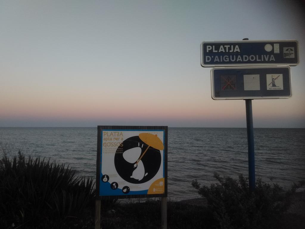 Apartamentos Aigua Oliva Vinarós Dış mekan fotoğraf